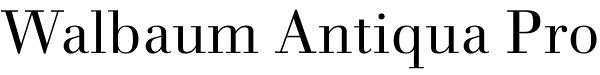 Walbaum Antiqua Pro font Walbaum Antiqua Pro font