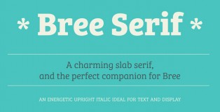 Bree Serif font