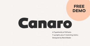 Canaro font