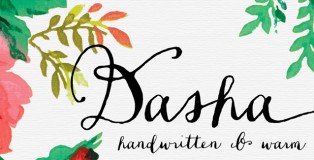 Dasha font