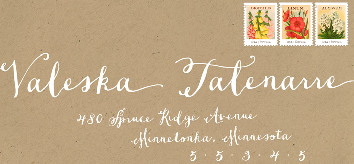 Dasha font, Magpie Paper Works