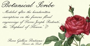 Botanical Scribe font