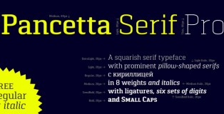 Pancetta Serif Pro font
