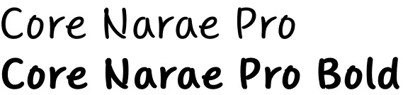 Core Narae Pro font