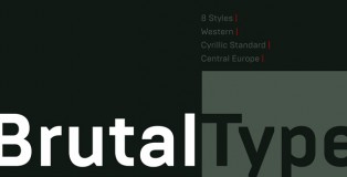 Brutal Type font