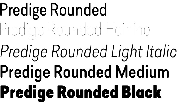 Predige Rounded