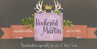 Bookeyed Martin font