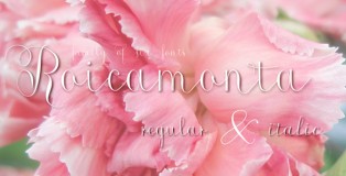 Roicamonta font