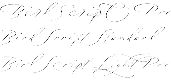 Bird Script font