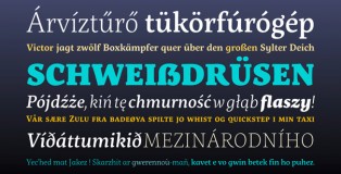 Servus Slab font