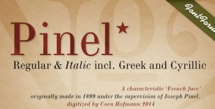 Pinel Pro font