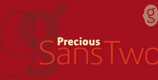 Precious Sans Two