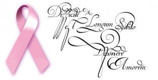 Van den Velde Script Pro