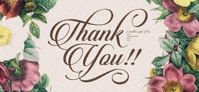 Candlescript Pro font