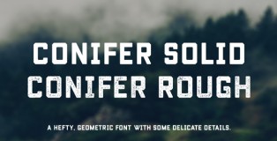 Conifer font