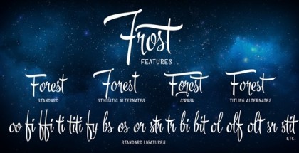 Frost script