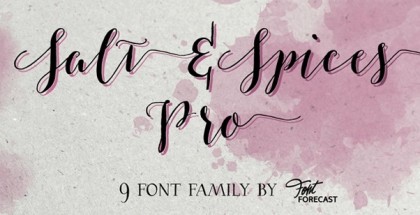 Salt & Spices Pro