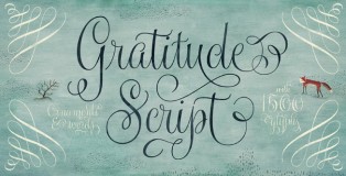 Gratitude Script