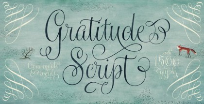 Gratitude Script