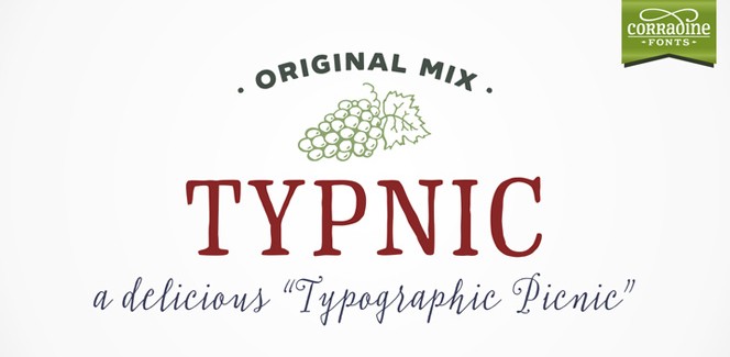 Typnic