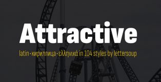 attractive type system